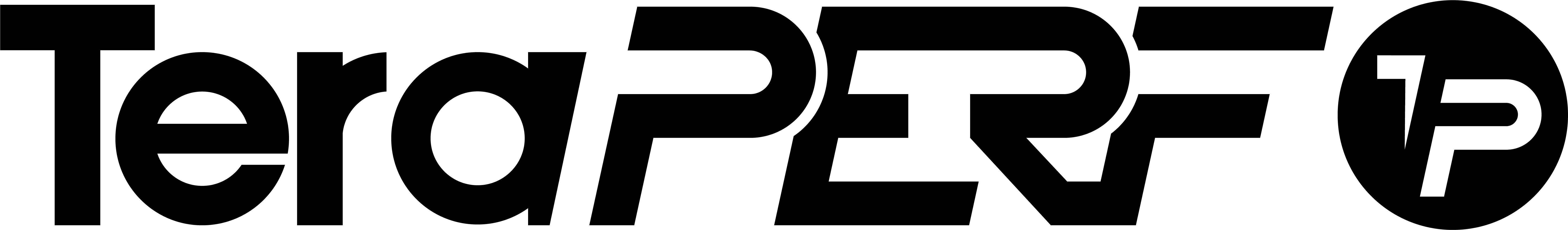 Logo rectangle TP